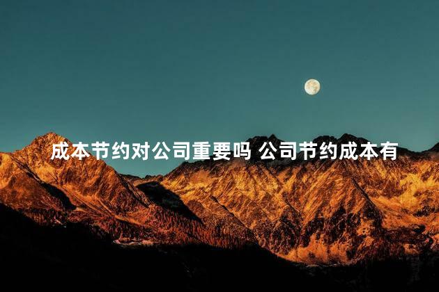 成本节约对公司重要吗 公司节约成本有些什么方法